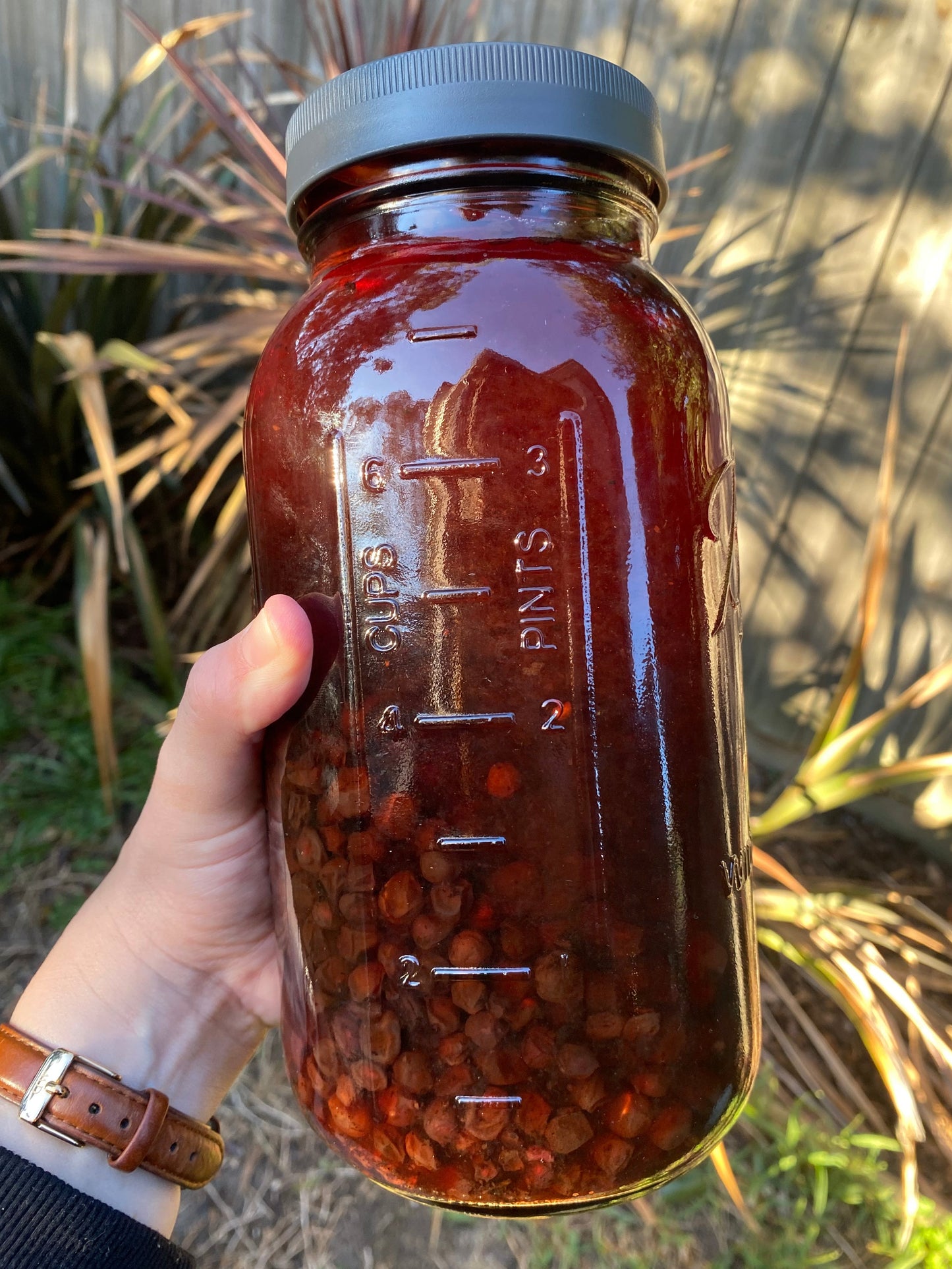 Schisandra Elixir - 50ml