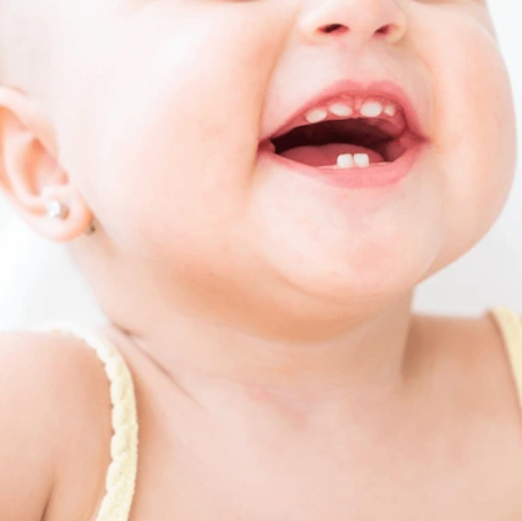 Teething & Tummy Glycerite - 50ml