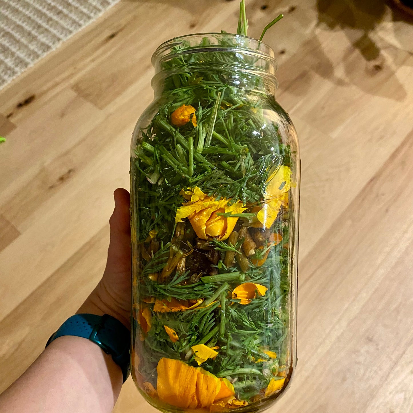 California Poppy - 50ml