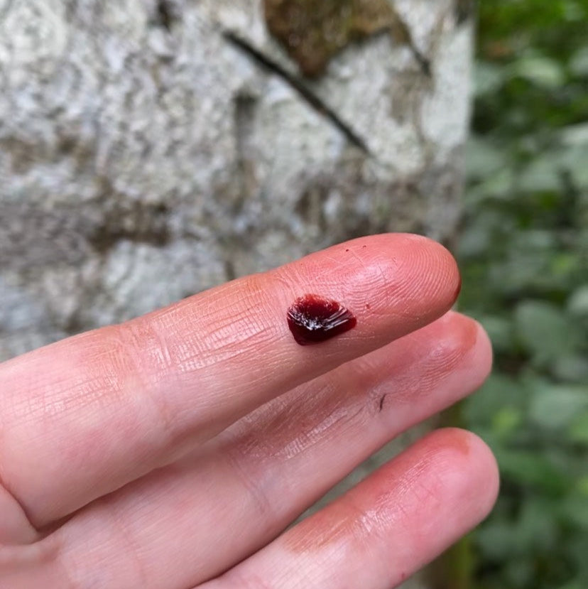 Pure Amazonian Dragon's Blood - 30ml